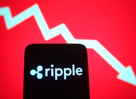 Ripple CEO Sounds Alarm: If You’re An XRP Investor, You Should See This