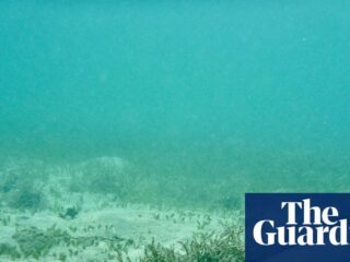 Risk of undersea cable attacks backed by Russia and China likely to rise, report warns | Telecoms
