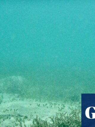 Risk of undersea cable attacks backed by Russia and China likely to rise, report warns | Telecoms