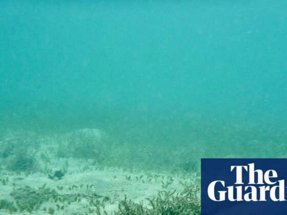 Risk of undersea cable attacks backed by Russia and China likely to rise, report warns | Telecoms