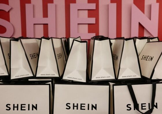 Shein’s IPO risk factors farce