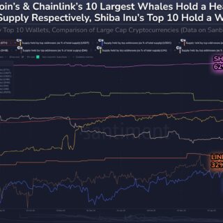 Shiba Inu Supply Most Centralized Among Top Coins—62% Held By Just 10 Whales