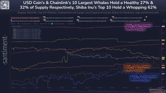 Shiba Inu Supply Most Centralized Among Top Coins—62% Held By Just 10 Whales