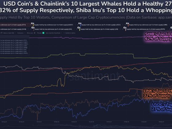Shiba Inu Supply Most Centralized Among Top Coins—62% Held By Just 10 Whales