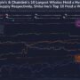 Shiba Inu Supply Most Centralized Among Top Coins—62% Held By Just 10 Whales