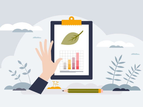 Sustainability Reporting: Navigating Assurance Practices