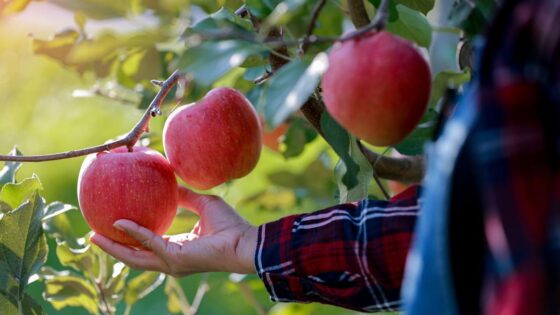 T&G Global mulls options with main investor eyeing sale