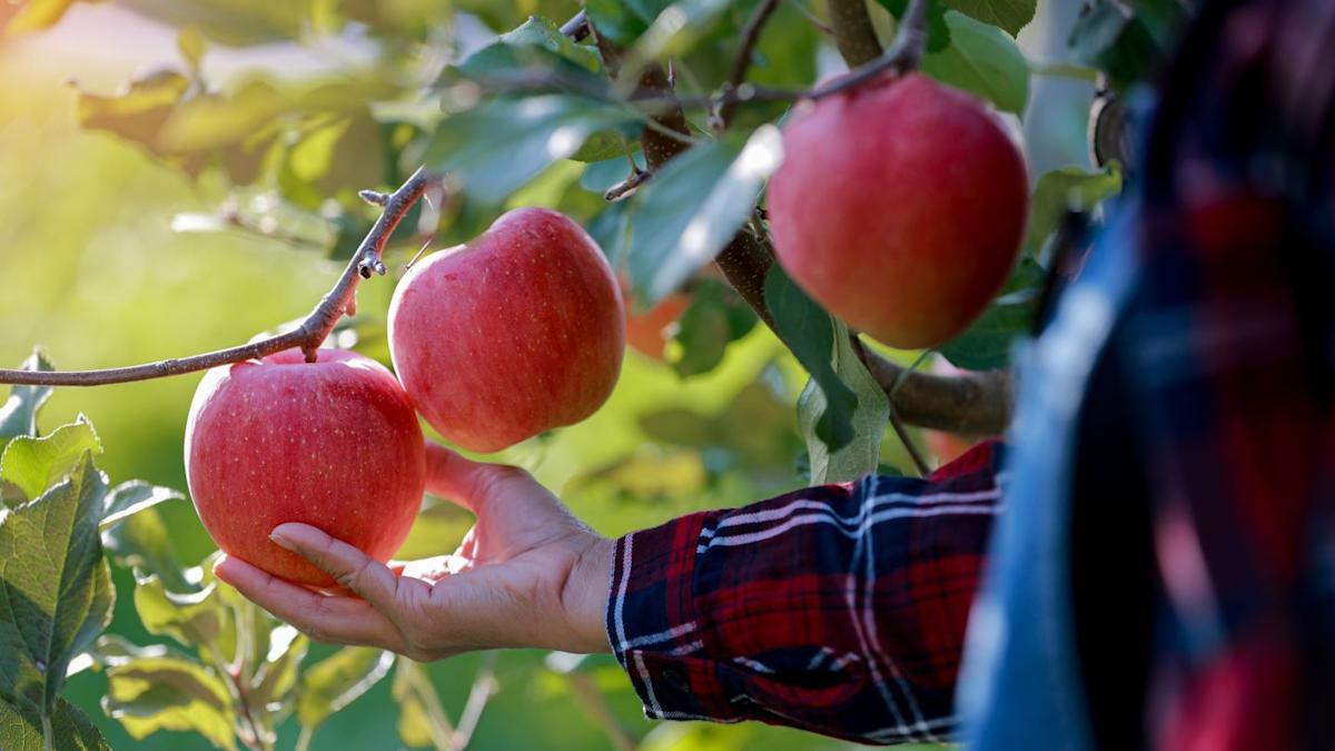 T&G Global mulls options with main investor eyeing sale