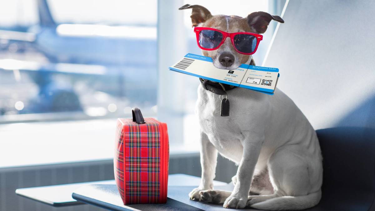 TSA issues stark warning about transporting these in underwear