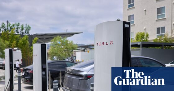 Tesla reports declines in revenue and profit amid shaky financial year | US news