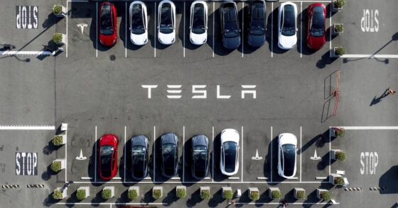 Tesla sales fall amid competition and brand damage