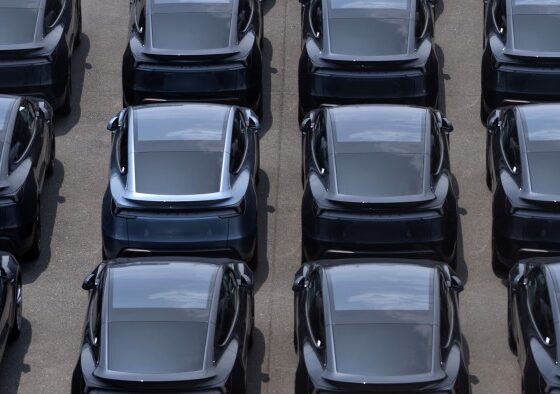 Tesla shares sink after Elon Musk says he will launch new US political party