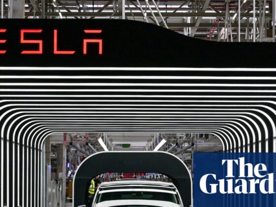 Tesla’s European sales slump as Musk warns of ‘rough quarters’ ahead | Tesla