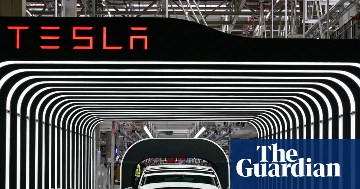 Tesla’s European sales slump as Musk warns of ‘rough quarters’ ahead | Tesla