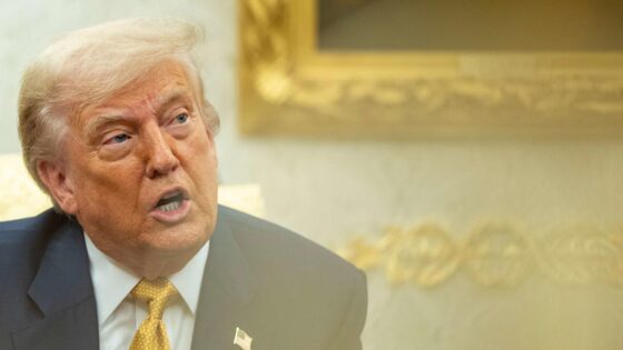 The loophole that makes a third term possible for Trump