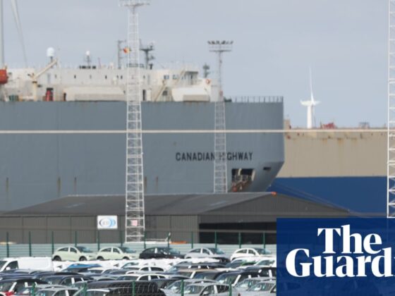 Thousands of vehicles sit idle at EU port as Trump’s tariffs leave their mark | Automotive industry