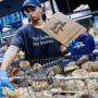TikTok-famous bagel chain plans major expansion to take on rivals