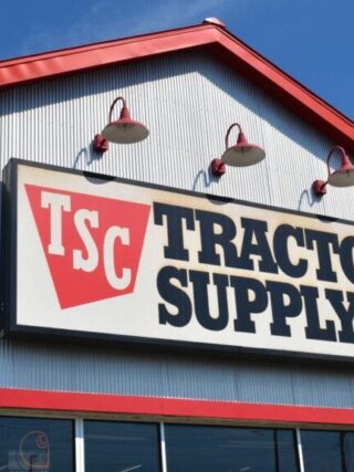 Tractor Supply's New Stores Fuel Strong Sales, Solid Outlook