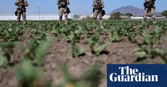 US farm workers on Ice raids in the fields: ‘hunted like animals’ | US immigration