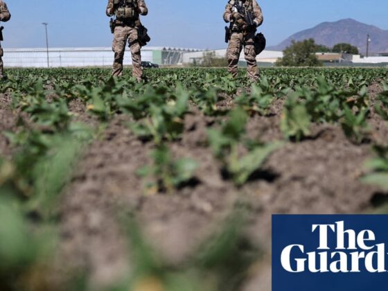 US farm workers on Ice raids in the fields: ‘hunted like animals’ | US immigration