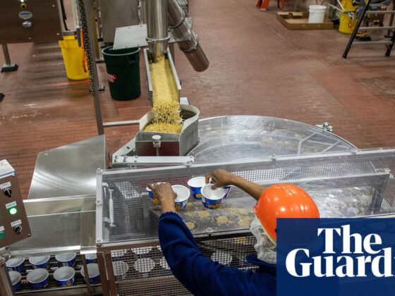 US workers say Trump’s immigration crackdown is causing labor shortages: ‘A strain on everybody’ | US news