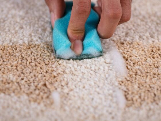 Understanding and Evaluating Normal Wear and Tear in Rental Properties