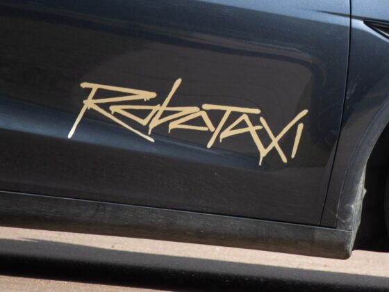 Undeterred by limits, Elon Musk plots a big robotaxi expansion