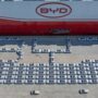 BYD follows Tesla's radical approach; the results are just as disastrous