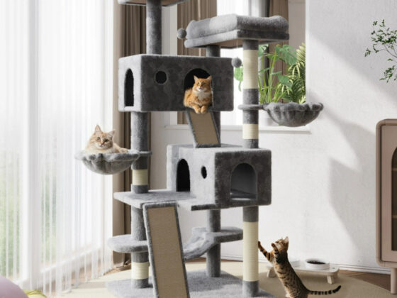 Walmart is selling a huge 3 cat tree for , and shoppers say it's 'beyond amazing'
