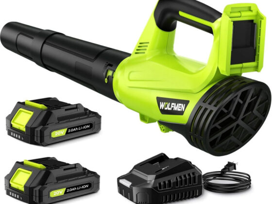 Walmart's selling a 0 cordless leaf blower for , and shoppers say it offers 'power that saves time and money'