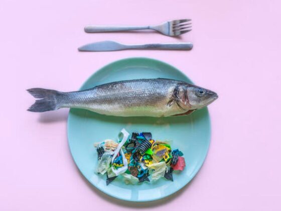 Want to Avoid Microplastics in Food? We Found the 8 Most Common Foods That Contain Microplastics
