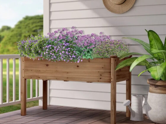 Wayfair is selling a 'perfect' 0 elevated planter for , and shoppers call it 'sturdy'