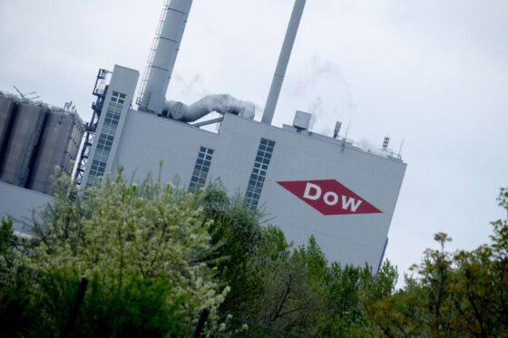 West Pharmaceutical Services Stock Surges; Dow, LKQ Shares Fall