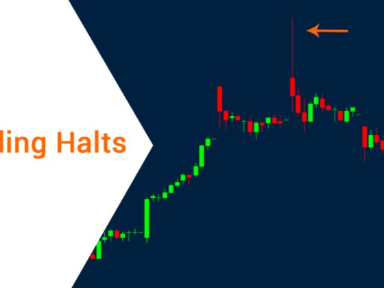 What Are Trading Halts? Key Facts Every Trader Should Know