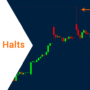 What Are Trading Halts? Key Facts Every Trader Should Know