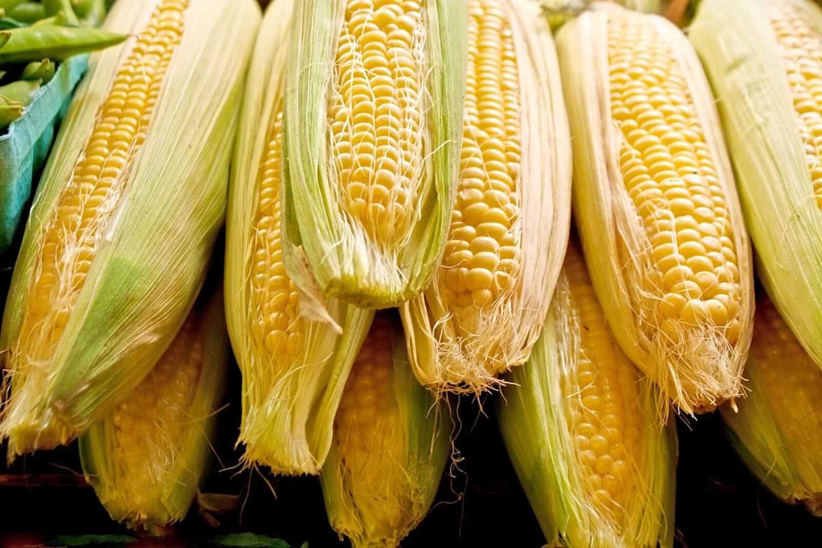 What to Watch in Grain Futures This Week