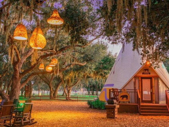 'Cowboy experience' gets popular in unexpected travel destinations
