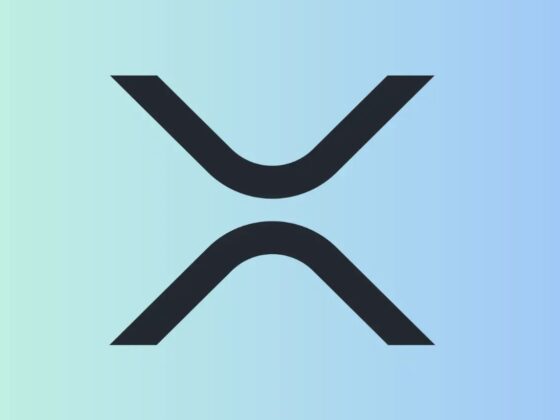 .8 Billion Stablecoin Issuer Says XRP Is Ready For Integration And Onboarding