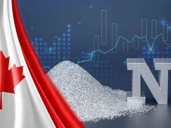 Top 5 Canadian Nickel Stocks of 2025