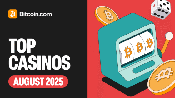 Top Bitcoin Casinos for Beginners [August 2025]