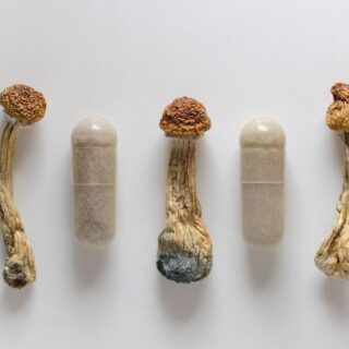 Psychedelics Market Update: H1 2025 in Review