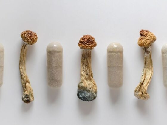 Psychedelics Market Update: H1 2025 in Review