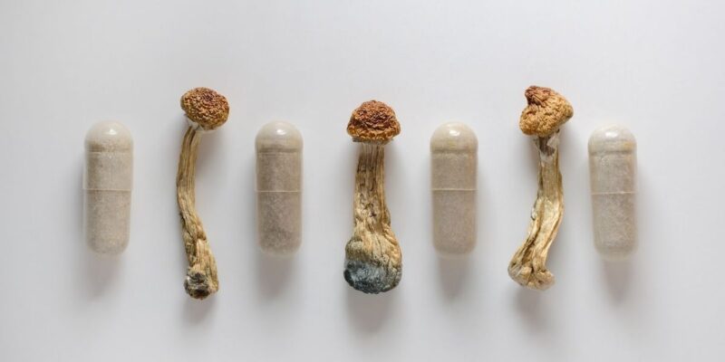 Psychedelics Market Update: H1 2025 in Review