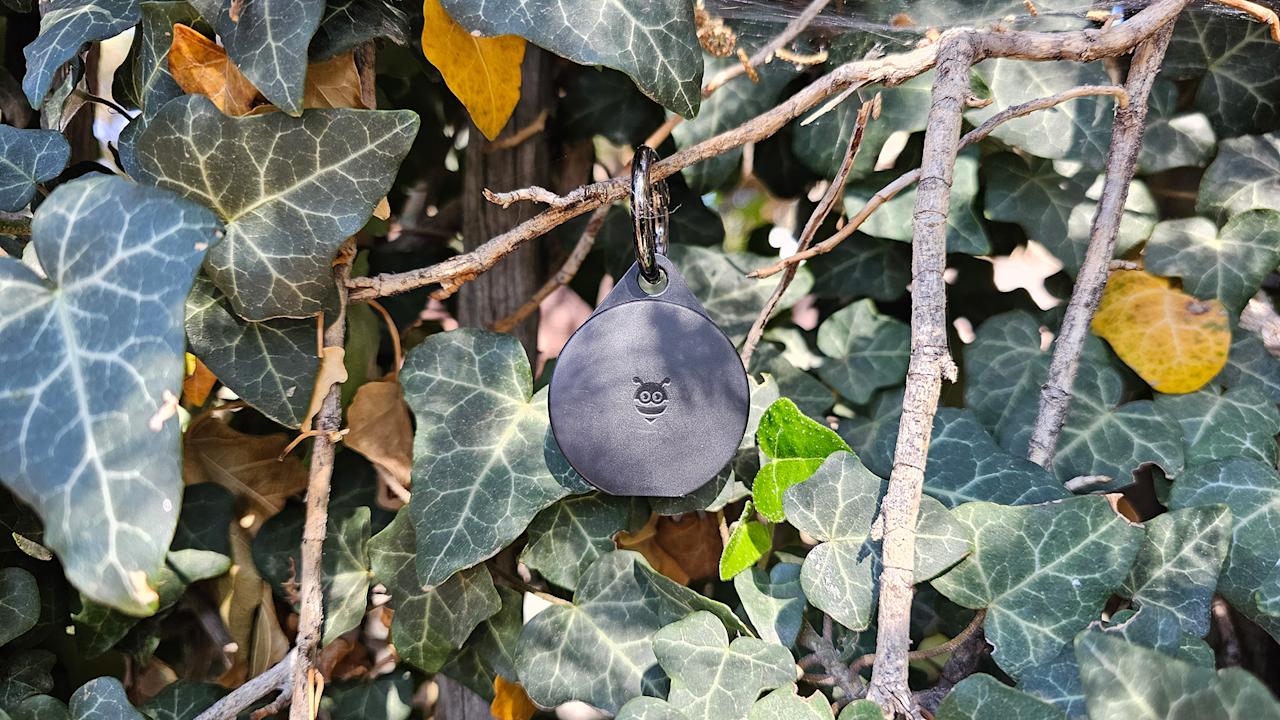 Image for the large product module