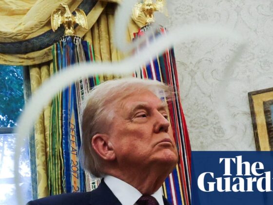 Trump plans 100% tariffs on chips but spares companies ‘building in US’ | Trump tariffs