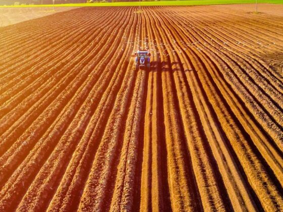 Agriculture Market Update: Q2 2025 in Review