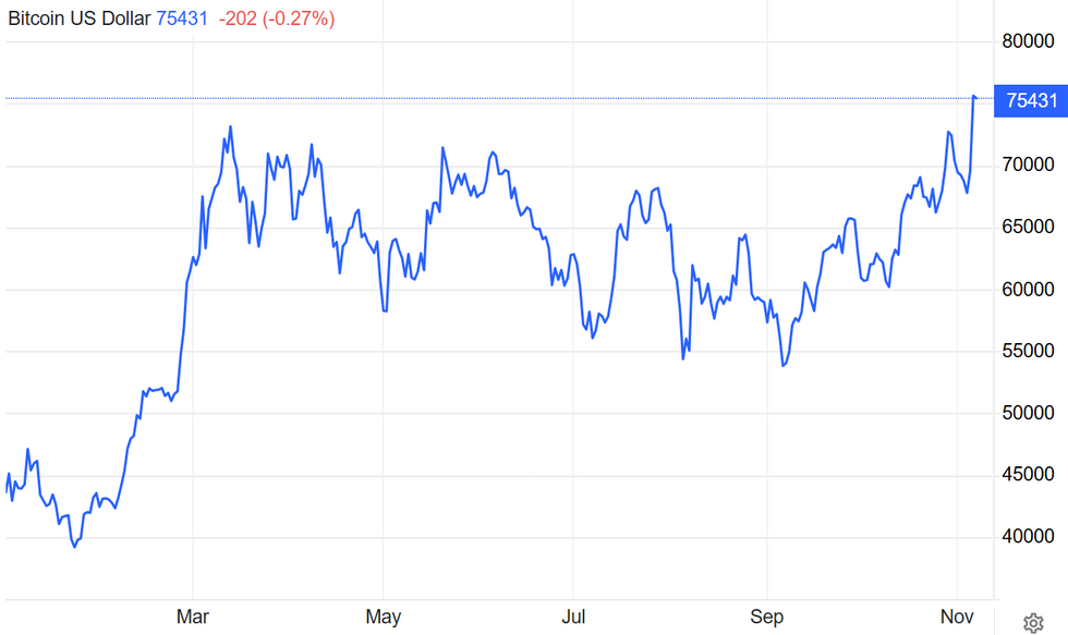 Bitcoin price chart from January 1, 2024, to November 6, 2024.