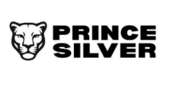 Prince Silver Grants Stock Options