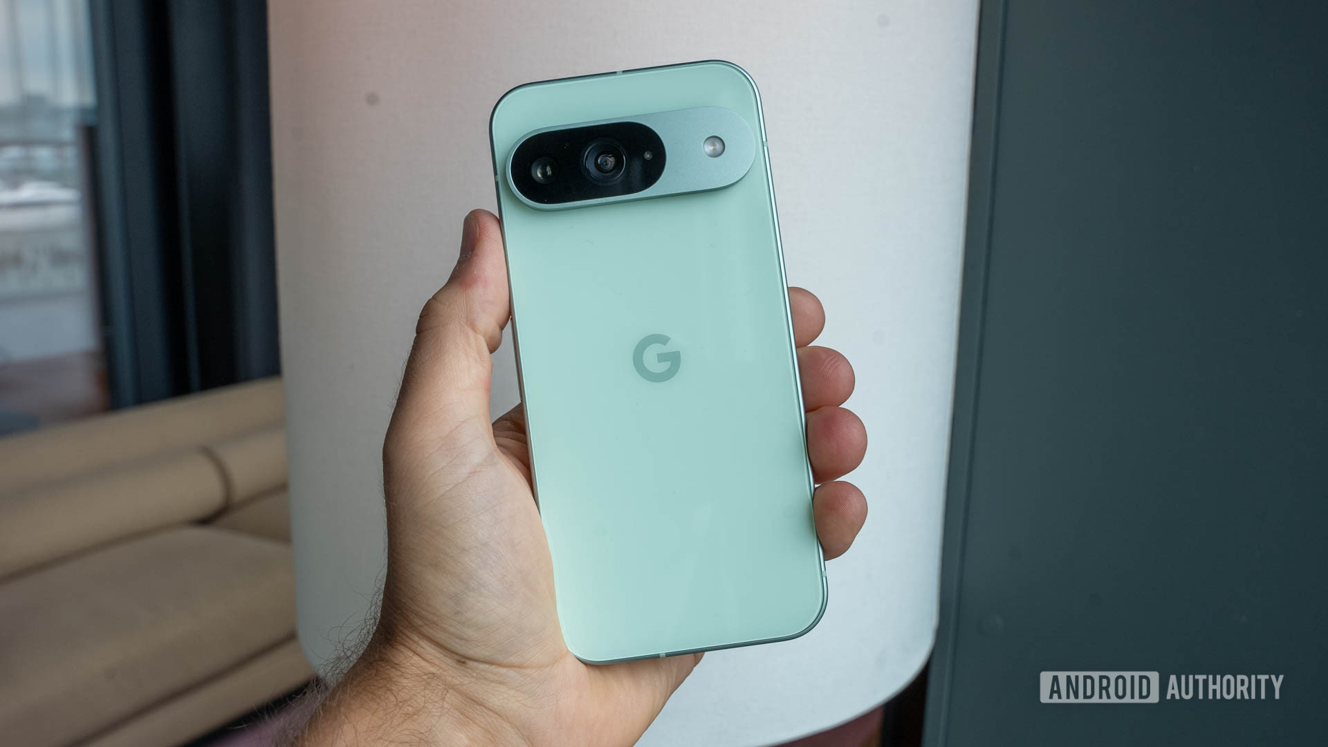 Google Pixel 9 in Wintergreen color held in person's left hand showing back Google Pixel 9 in Wintergreen color held in person's left hand showing back