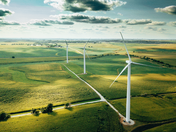 Research and Policy Center Five Most Popular Articles of 2023: Sustainability